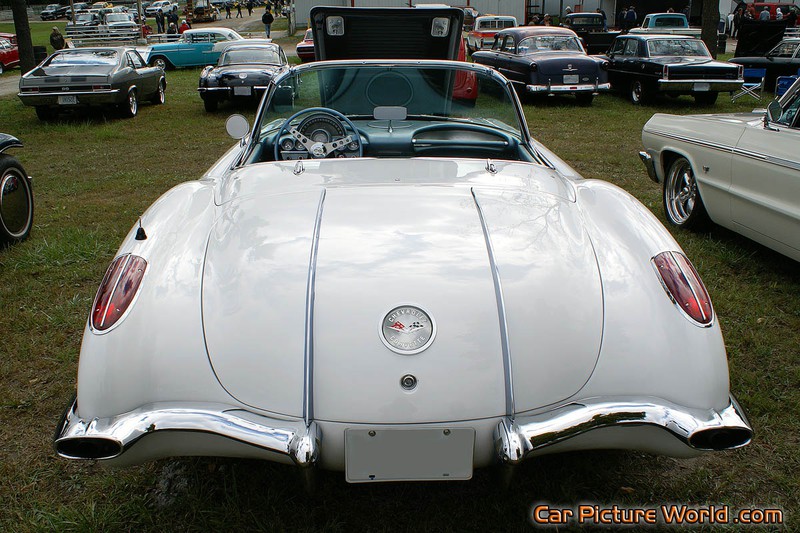 1958 Corvette Rear