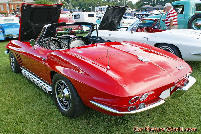 1965 396 Corvette Rear Left