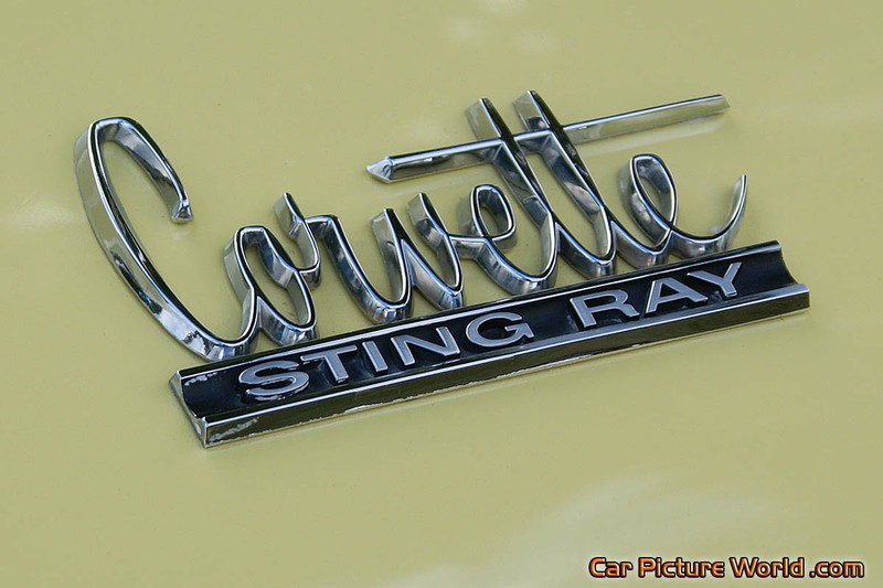 1965 Corvette Coupe Rear Logo