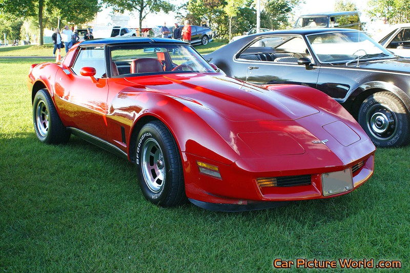 1981 Corvette