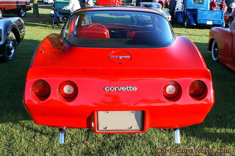 1981 Corvette Rear
