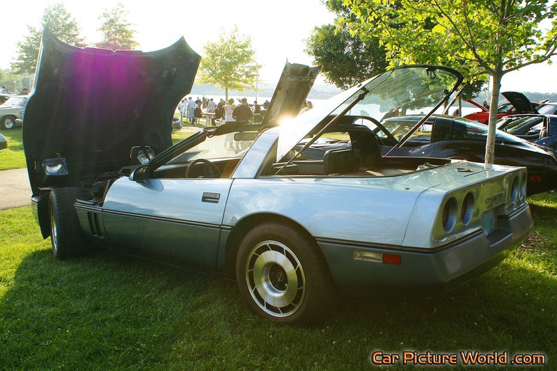 1984 Corvette Rear Left