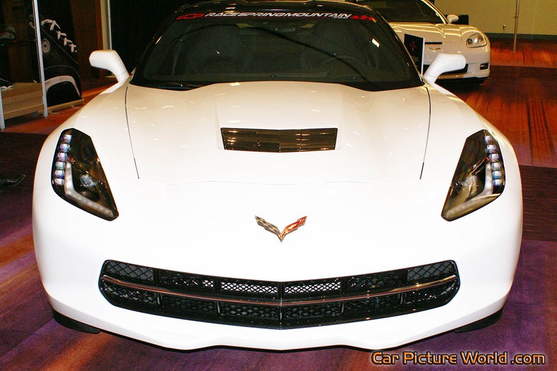 2014 Ron Fellows Corvette Front
