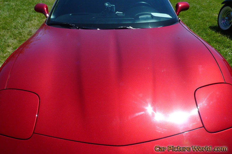 C5 Corvette Convetible Hood