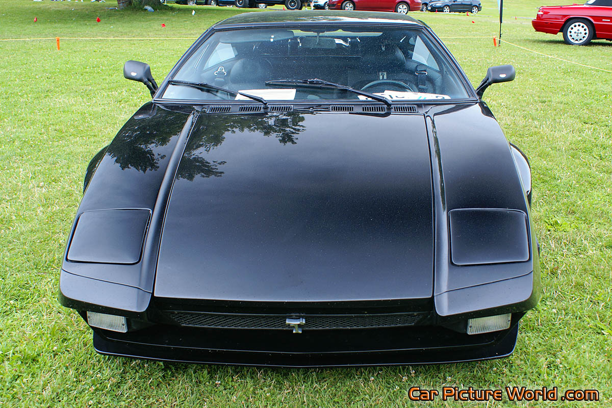1974 Black Pantera Front High