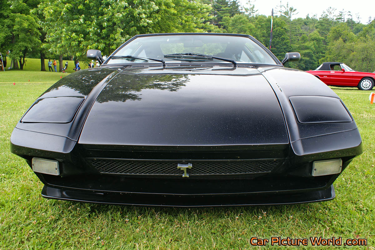 1974 Black Pantera Front Low