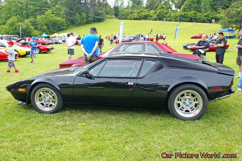 1974 Black Pantera Left Side