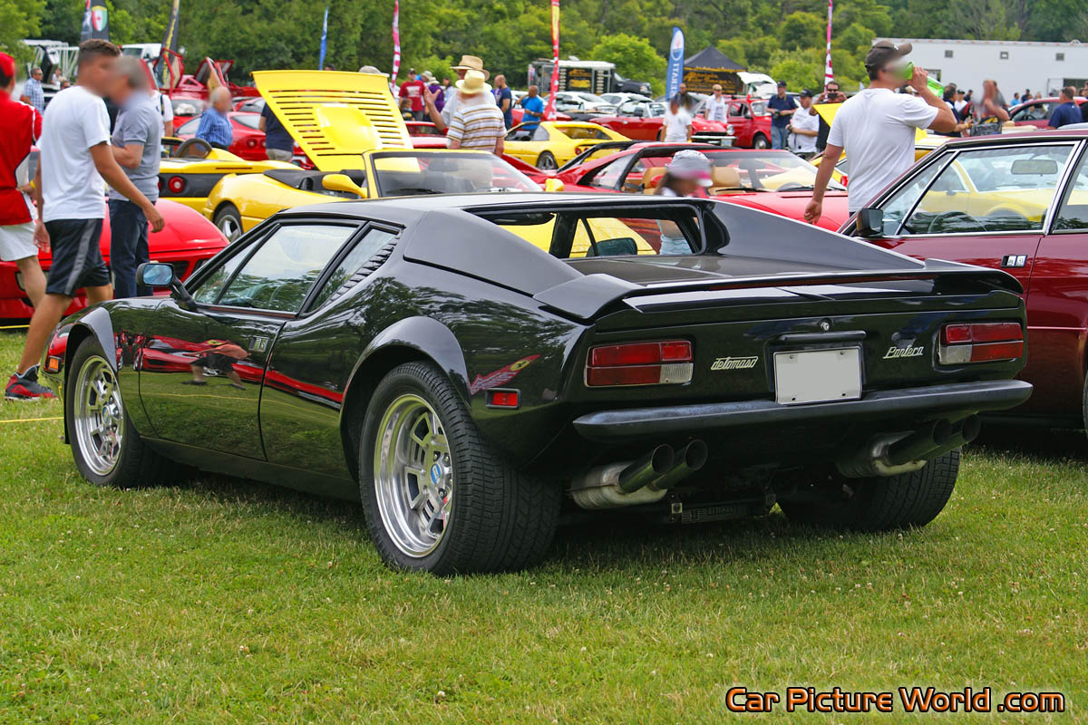 1974 Black Pantera Rear Left