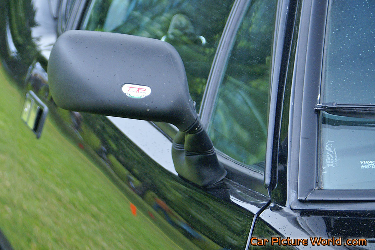 1974 Black Pantera Side Mirror