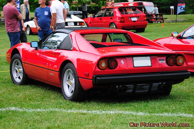 1981 308 GTSi Rear Left