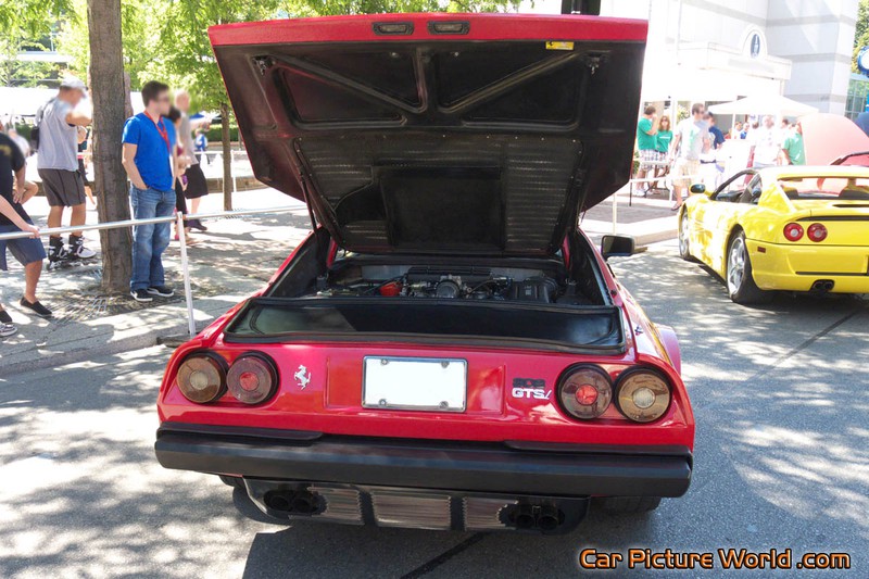 Ferrari 308 GTSi Rear