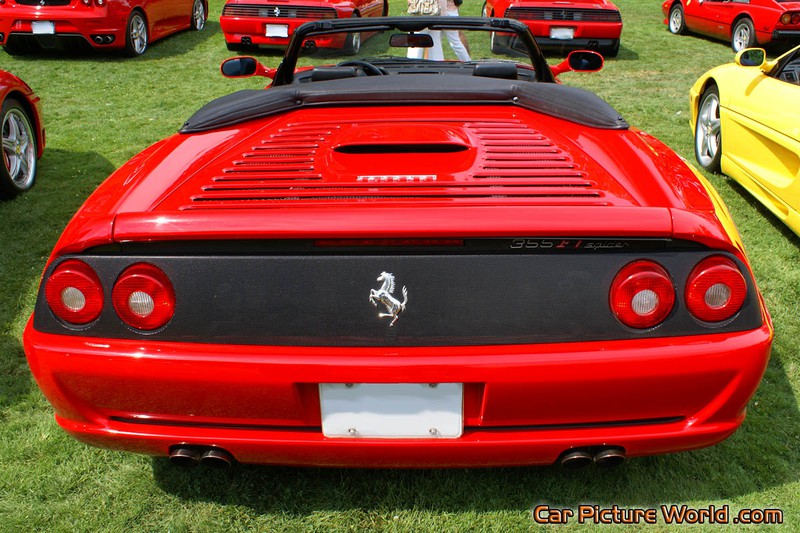 355 F1 Spider Rear
