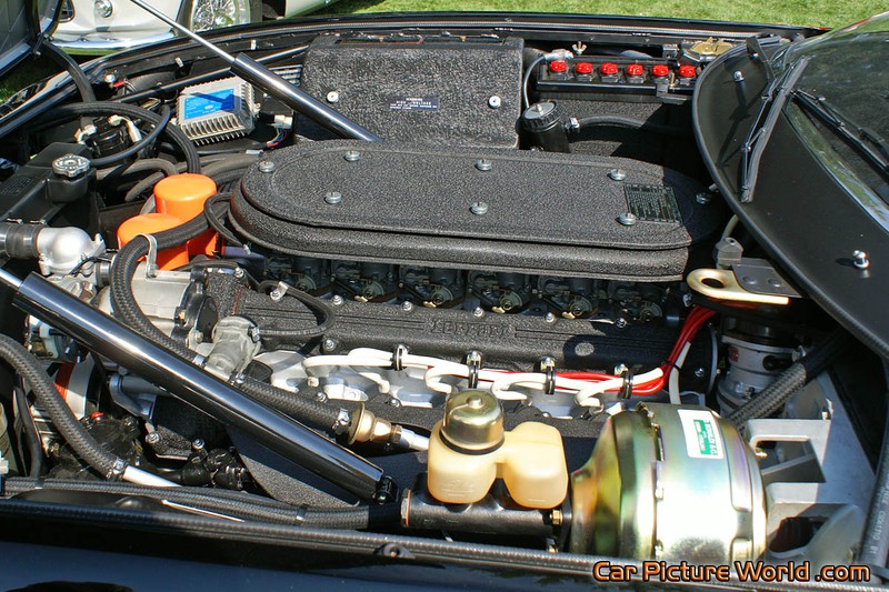 Ferrari 365 GTS 4 Engine Left Side