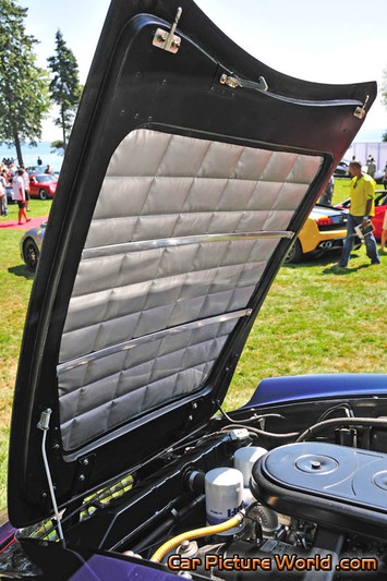 1968 365 GT 2+2 Hood