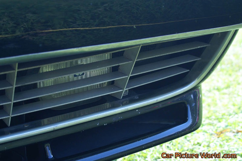 1979 Ferrari 400 GT Driving Light