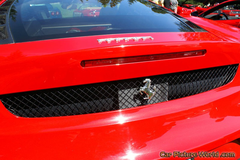 F430 F1 Rear Panel