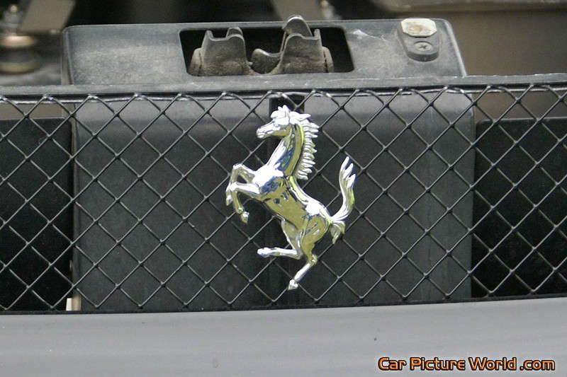 Ferrari F430 Black Rear Emblem