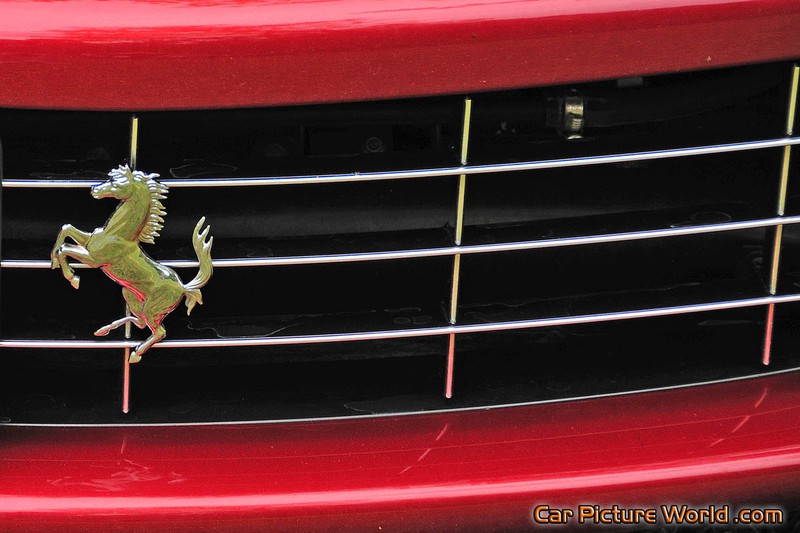 2008 599 GTB Grill Emblem