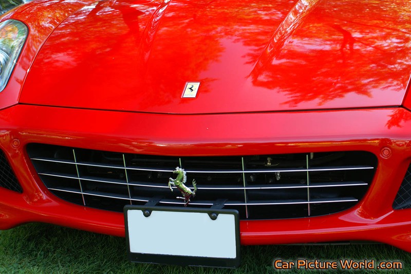 Ferrari 599 GTB Grill