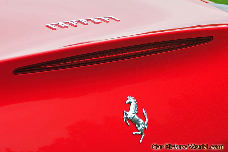 2010 California Rear Emblem
