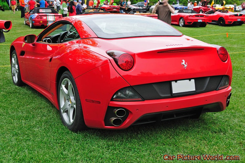 2010 California Rear Left