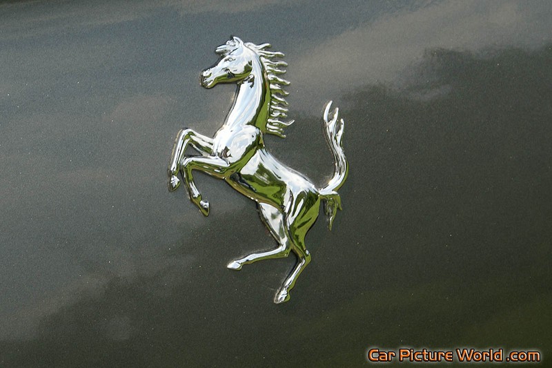Gray Ferrari California Rear Horse Emblem