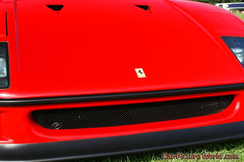 1991 Ferrari F40 Grill