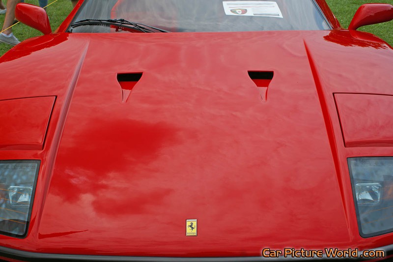 1991 Ferrari F40 Hood