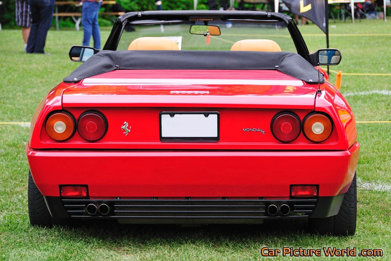 1991 Mondial T Cabriolet Rear