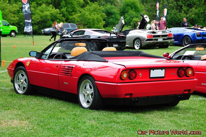 1991 Mondial T Cabriolet Rear Left