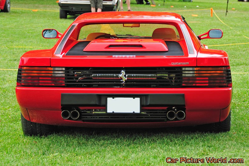 1986 Testarossa Rear