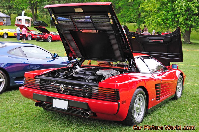 1986 Testarossa Rear Right Hood Open