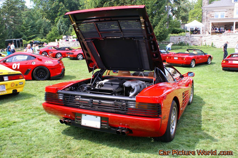 1988 Testarossa Rear