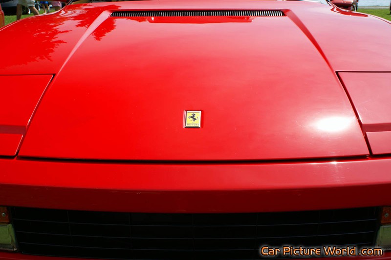 Testarossa Hood