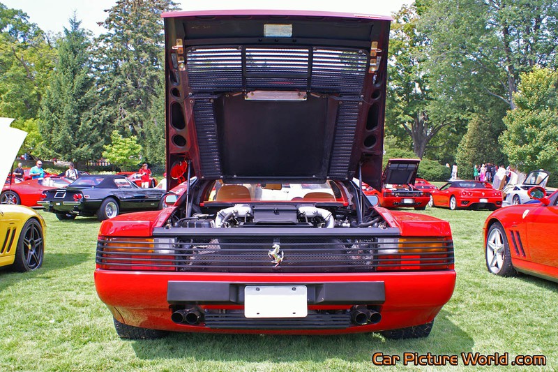 Testarossa Rear