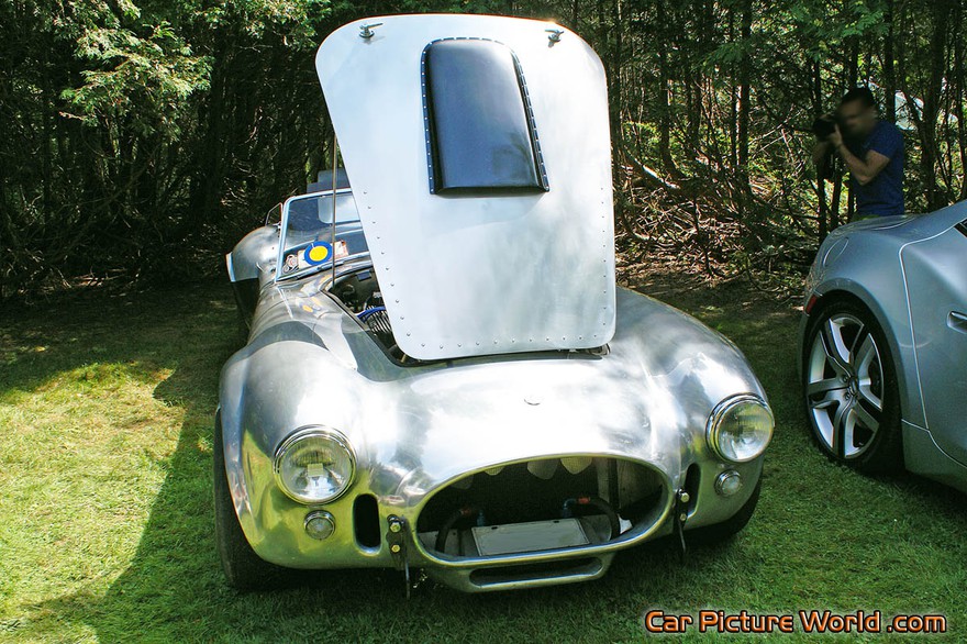 Picture of a Aluminum 427 Cobra