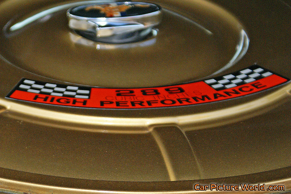 1965 Convertible Mustang Engine Air Cleaner