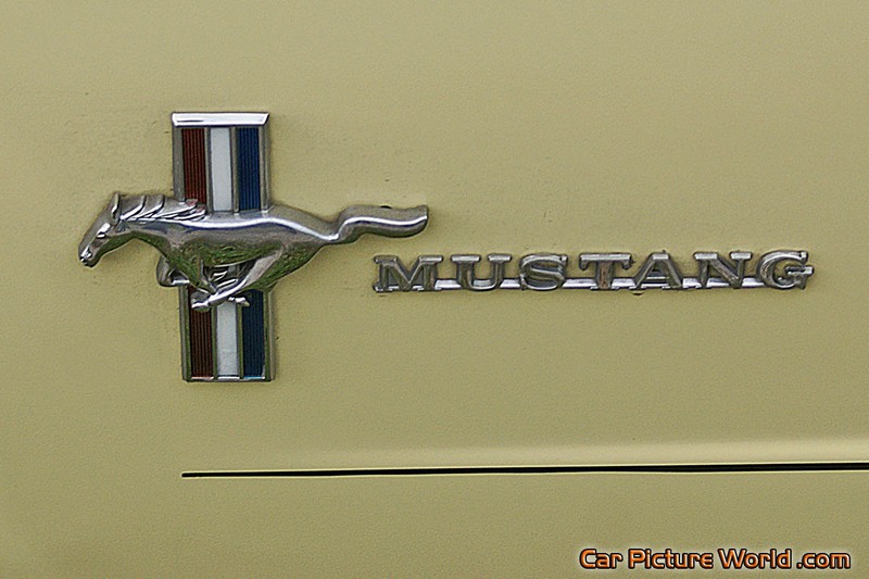 1965 Nothcback Mustang Fender Emblem