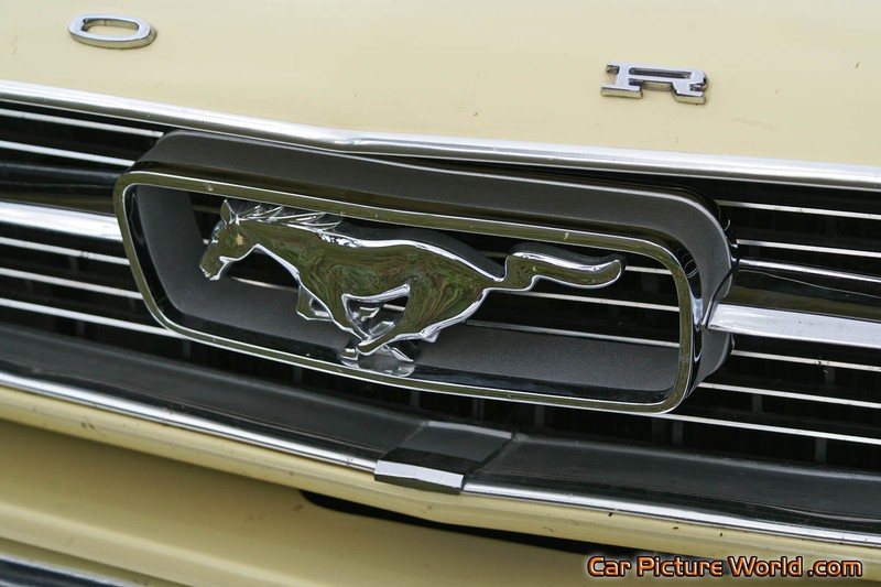 1965 Nothcback Mustang Front Emblem