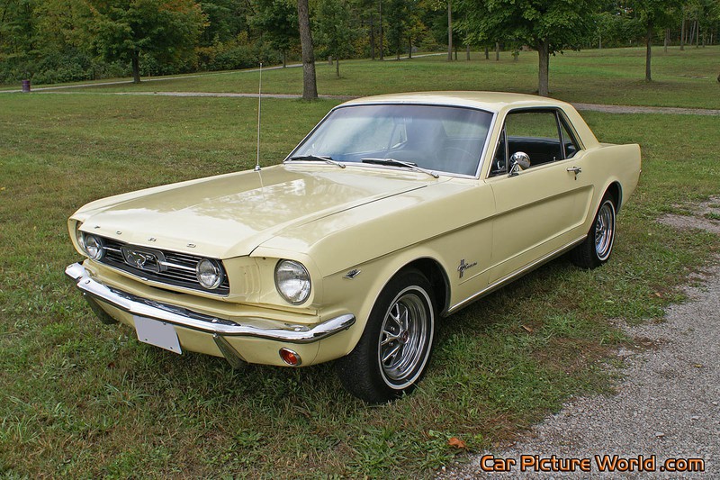1965 Nothcback Mustang Front Left