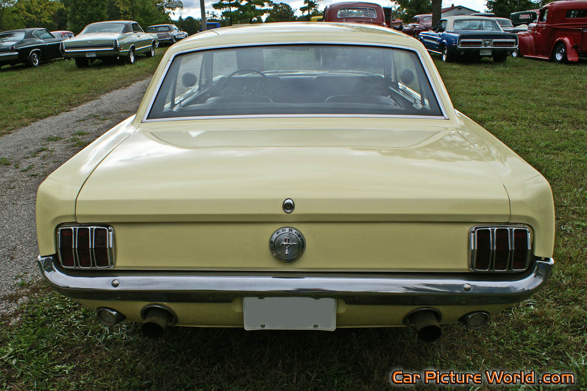 1965 Nothcback Mustang Rear