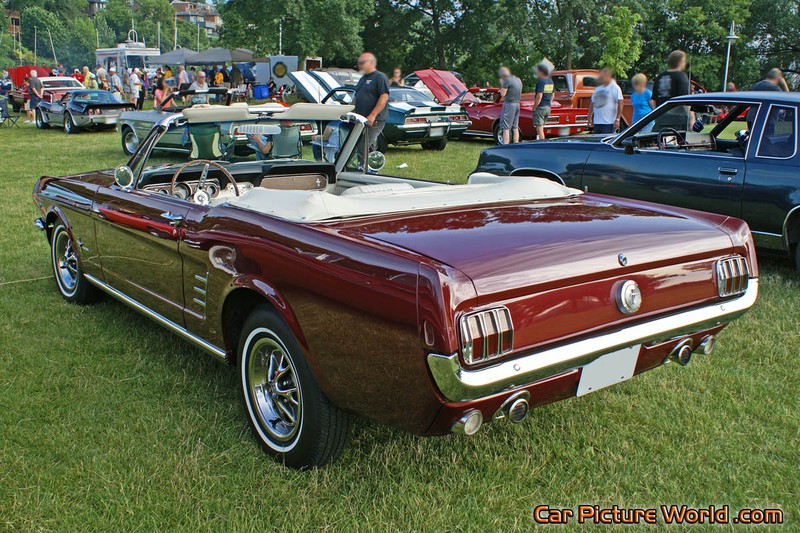 1966 Convertible Mustang Rear Left