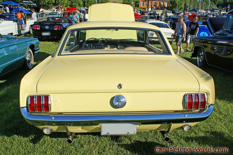 1966 Mustang Notchback Rear