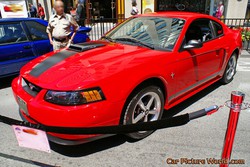 2003 Mustang Pictures