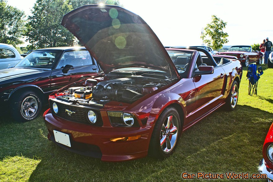 Picture of a 2008 California Special Mustang GT