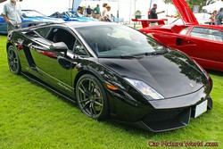 2011 Gallardo Pictures