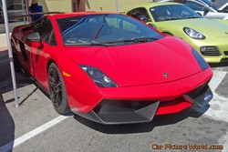 2012 Gallardo Pictures