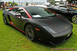 2013 Gallardo Pictures